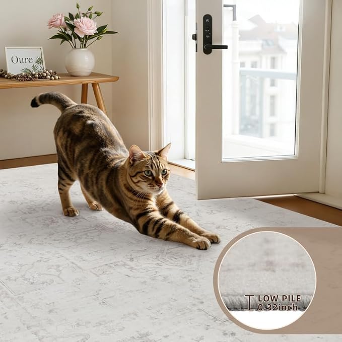 5x7 Area Rugs for Living Room: Vintage Boho Neutral Washable Rug Indoor Soft - Image 7