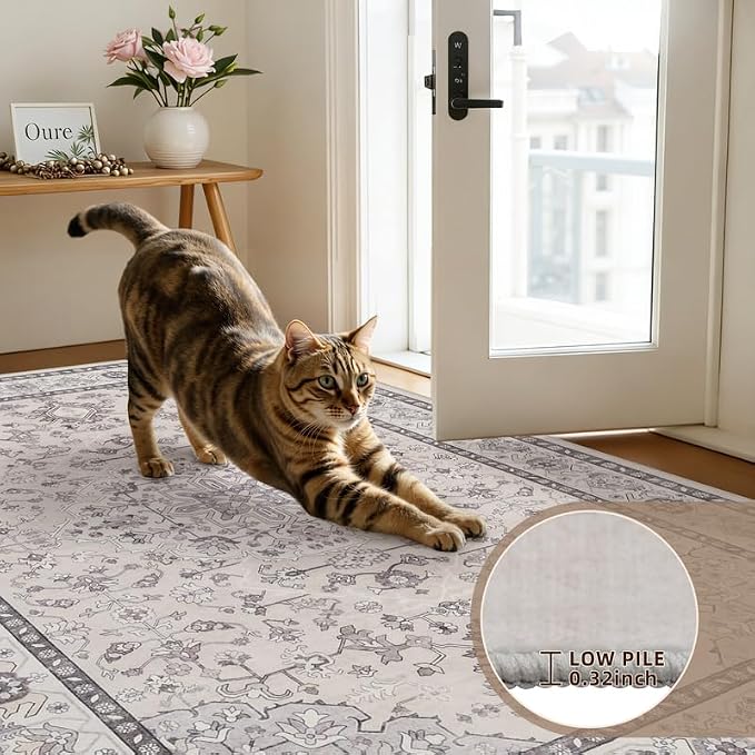 10x12 Area Rug for Living Room: Vintage Boho Neutral Washable Rug Indoor Soft - Image 9