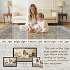 6x9 Area Rugs for Living Room: Vintage Boho Neutral Washable Rug Indoor Soft - Image 5
