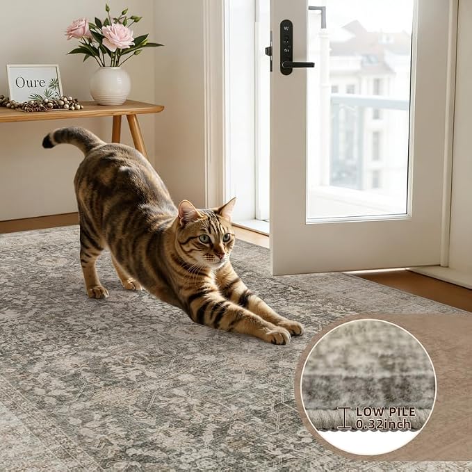 6x9 Area Rugs for Living Room: Vintage Boho Neutral Washable Rug Indoor Soft - Image 7