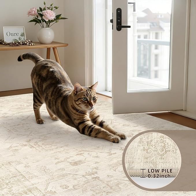 Round Area Rug for Living Room: 8ft Vintage Boho Neutral Washable Circle Rug - Image 6