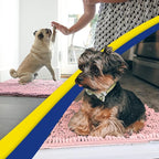 Muddy Mat® | Super Water Absorbent Door Mat Indoor, Microfiber Quick Dry - Image 5