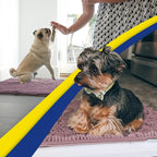 Muddy Mat® | Super Water Absorbent Door Mat Indoor, Microfiber Quick Dry - Image 5