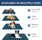 Smiry Dog Door Mat for Muddy Paws 59x24, Absorbent Dirt Trapper, Non-Slip - Image 3