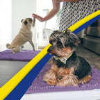 Muddy Mat® | Super Water Absorbent Door Mat Indoor, Microfiber Quick Dry - Image 5