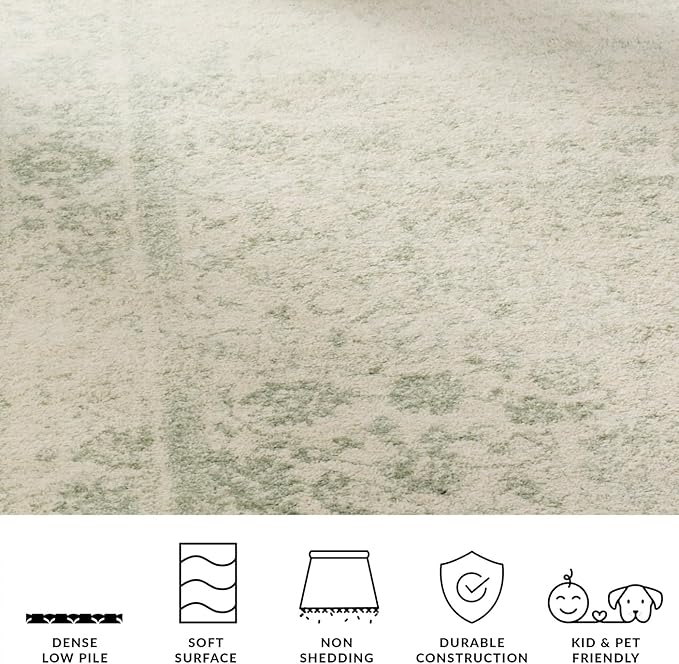 SAFAVIEH Adirondack Collection Area Rug - Image 5