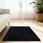 Black Rugs for Bedroom, 3x5 Fluffy Area Rugs for Living Room, Small Fuzzy Shag by Unknown