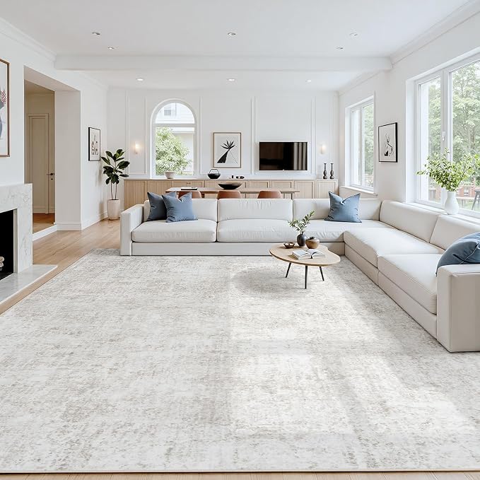 Area Rug 5x7 Living Room Rug Washable: No-Slip Abstract Soft Thin Large Light by Oriannal