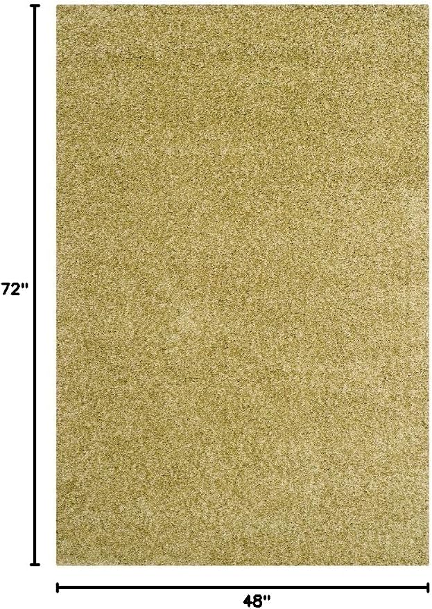 SAFAVIEH Area Rug 4x6 - Image 2