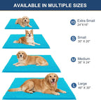OLANLY Dog Door Mat for Muddy Paws 24x16, Ultra Absorbent Chenille Mud Doormat - Image 2