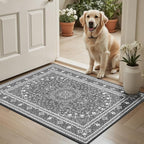 Lessymo 2 x 3 Entryway Rug - Image 2
