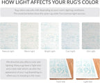 SAFAVIEH Adirondack Collection Area Rug - Image 5