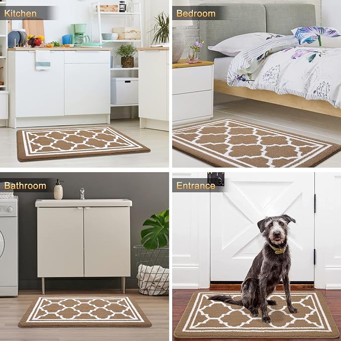 Buganda Large Indoor Door Mat, Dirt-Resistant and Absorbent Doormat, Low - Image 6