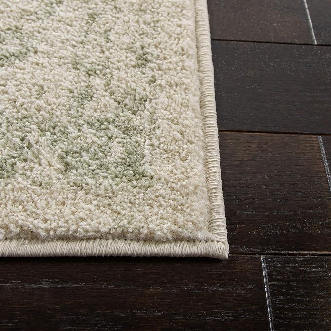 SAFAVIEH Adirondack Collection Area Rug - Image 4