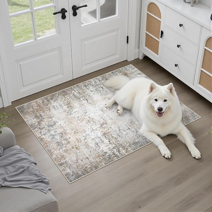 Washable Area Rug 2x3 Entryway Rug: Washable Modern Abstract Soft Thin Rug - Image 2