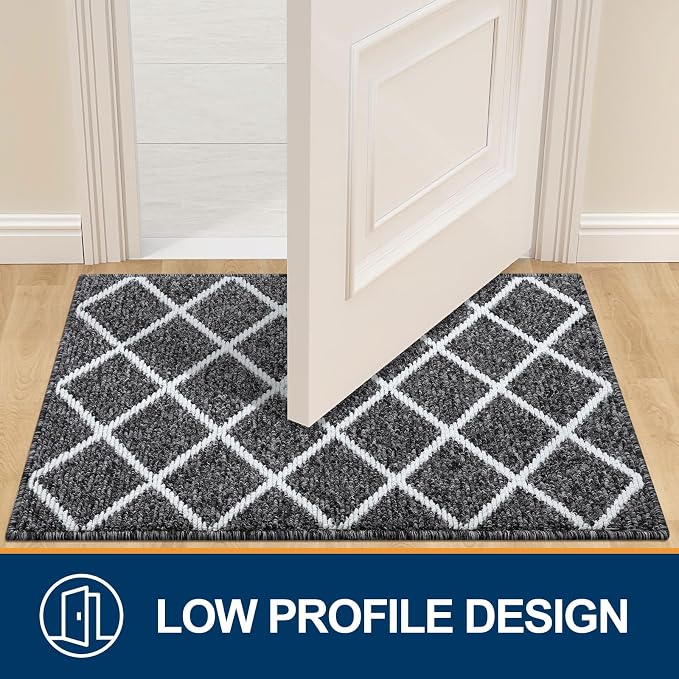 Finchitty Large Indoor Door Mat, Non-Slip Absorbent Resist Dirt Entrance Mat - Image 4