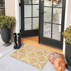 Front Door Mat Indoor - Image 9