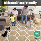 ONASAR Large Area Rugs for Living Room, Fluffy 7x10 Beige and White Thick Floor - Image 5