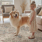 DCX Beige 8x10 Area Rugs, Machine Washable Non Slip Stain Resistant Soft - Image 7