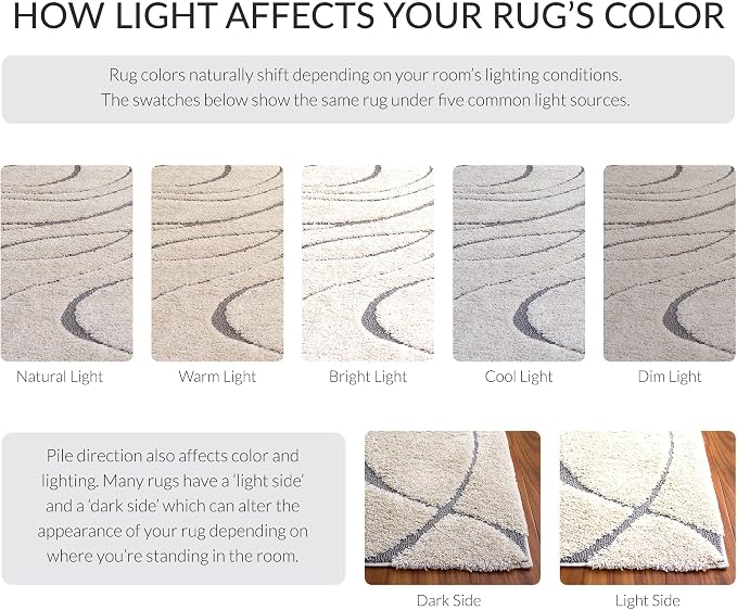 SAFAVIEH Florida Shag Collection Accent Rug - Image 7