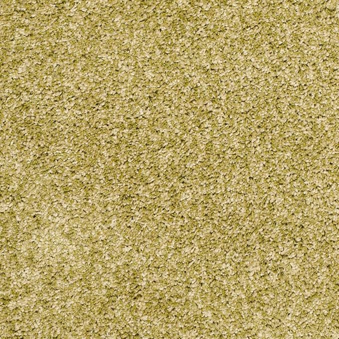 SAFAVIEH Area Rug 4x6 - Image 8