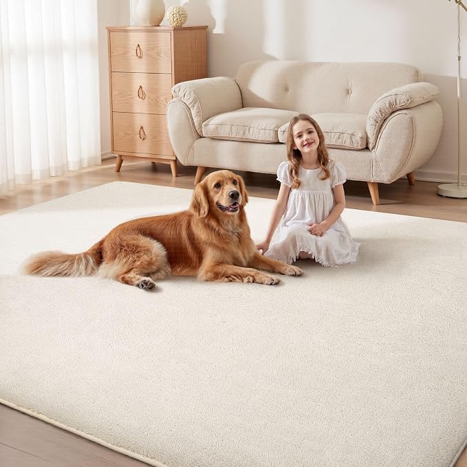 Sour Lemon 4x6 Area Rugs for Living Room, Soft Area Rug Fluffy Rugs for - Image 6