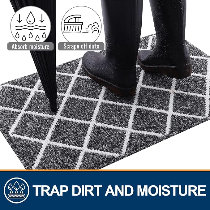 Finchitty Large Indoor Door Mat, Non-Slip Absorbent Resist Dirt Entrance Mat - Image 2