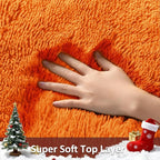 Ophanie Orange Fall Rugs for Bedroom Living Room, Fluffy Fuzzy Furry Carpet - Image 2