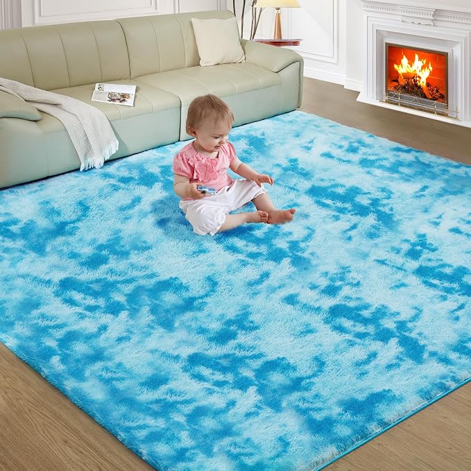 Ultra Soft Rug for Living Room, 6X9 Fluffy Shag Area Rug for Bedroom, Modern by Fairblink