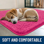 Smiry Dog Door Mat for Muddy Paws 70x24, Absorbent Dirt Trapper, Non-Slip - Image 2