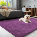 OLANLY 3x5 Machine Washable Small Bedside Rug, Soft Fluffy Shaggy Rugs by OLANLY
