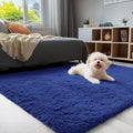 OLANLY 4x5 Machine Washable Accent Rug, Soft Fluffy Shaggy Area Rug by OLANLY