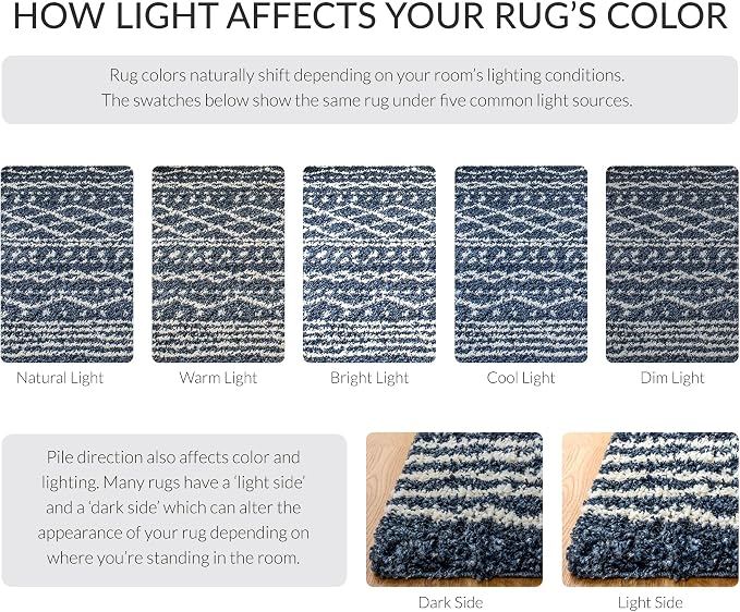 SAFAVIEH Area Rug 11x15 - Image 9