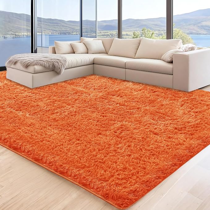 6x9 Orange Area Rugs for Living Room, Large Fluffy Shag Rug for Bedroom Nursery by Unknown