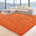 6x9 Orange Area Rugs for Living Room, Large Fluffy Shag Rug for Bedroom Nursery by Unknown