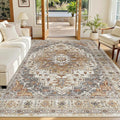 Madane 6x9 Area Rugs for Living Room, Stain Resistant Washable Rugs, Non-Slip by Madane
